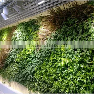 Artificial Green Wall Plant Wall thumbnail-5