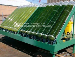 algae cluture tube