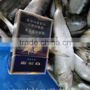Sardinops Melanosticta 50-80G Frozen Sardines thumbnail-1