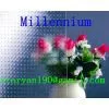 3mm-6mm Clear Pattern Glass thumbnail-2