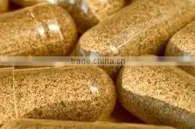 Organic Triphala Capsules for Bulk Export thumbnail-1