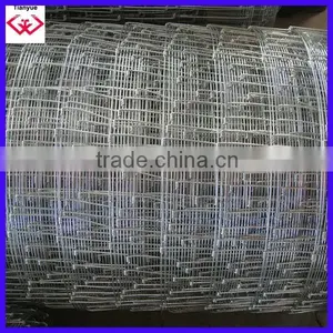 TianYue Honest Galvanized Cattle Fence for Lawn and Aquatics thumbnail-3