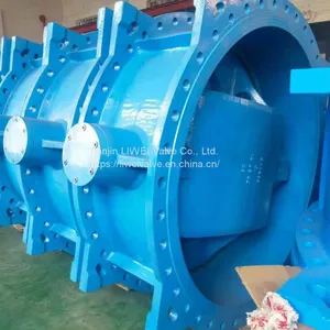 Double Eccentric Butterfly Valve thumbnail-3
