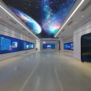 展示