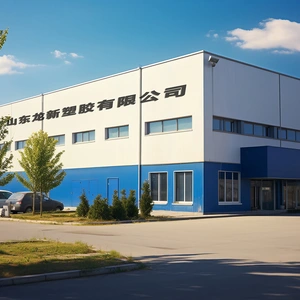 Ningjin Longxin Plastic Co., Ltd. company overview - view 1 thumbnail