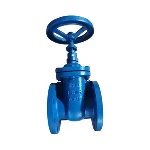 Factory Direct Sales DIN NRS GGG40 Ductile Iron Cast Iron 4