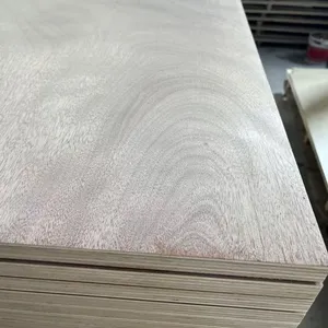 22mm Full Eucalyptus Continuous Core Ultra-Flat Grade AA/AB Multi-Layer Plywood thumbnail-2