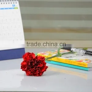 Cheap Mastor Multi-colored Fresh Cut Carnations thumbnail-3