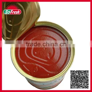 Tinned and Plastic Packed Canned Tomato Sacue thumbnail-1