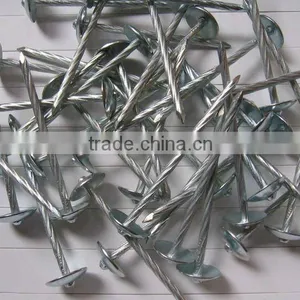 Roofing Nail With Plastic Washer thumbnail-1