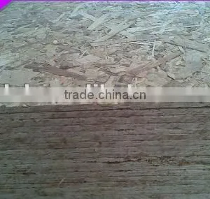 [good Quality]4*8 OSB 9-30mm/ Osb Boards thumbnail-1