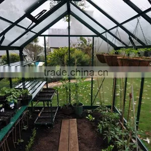 Early Modern Europe Green and Grey Garden Glass Greenhouse thumbnail-3