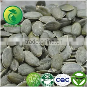 Green Pumpkin Seeds Kernels GWS Oil For Sale thumbnail-1