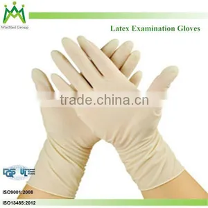 Powder Free and Powdered Professional Latex Exam Glove thumbnail-1
