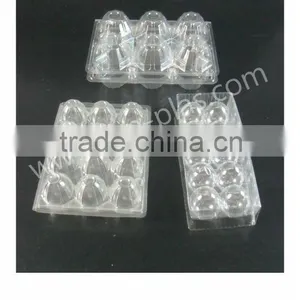 Disposable PET Egg Box thumbnail-1