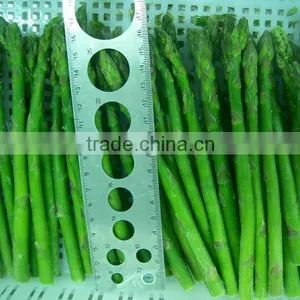 IQF Frozen Asparagus thumbnail-1