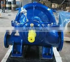 API610 BB1 Pump and Petro-chemical Pump thumbnail-1