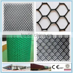 HDPE Plastic Geonet CE121 CE131 CE151 CE161 CE163 CE181 thumbnail-4