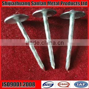Ring Shank Zinc Galvanized Roofing Nails thumbnail-1