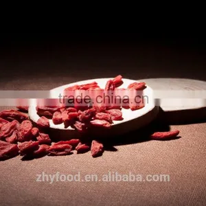 Certificated Dried Goji Berry thumbnail-3