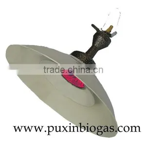 Biogas Balanced Type Gas Water Heater/ Gas Boiler/Water Boiler thumbnail-6