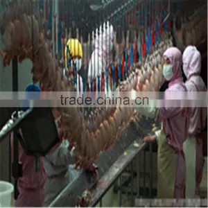 Poultry Slaughter Processing Line Chicken Slaughter Equipment thumbnail-5