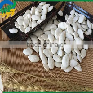 2016 New Crop Chinese Dried Snow White Pumpkin Seeds With Top Quality thumbnail-3