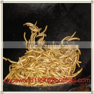 Where Are Mealworms Found/mealworm Nutrition/mealworms for Sale South Africa thumbnail-6