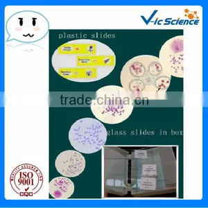 Nature Biological Micro Glass Slides With Clear and Complete Tissue for School Teaching thumbnail-1