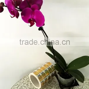 OEM Private Usages Custom Printing Good Price Packing Logo Adhesive Sticker Print thumbnail-3