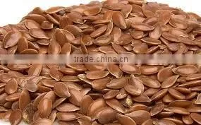 Linum Usitatissimum(flax Seed) thumbnail-4