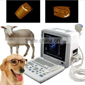 Portable Vet Ultrasound Scanner Multi-frequency Probe for Animal Veterinary Use 9000BV thumbnail-1