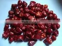 Dry Round Red Chilli From Tamilnadu thumbnail-3