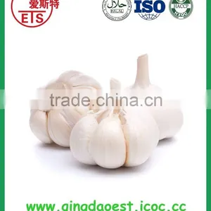 Jinxiang Fresh Best Price Normal White Garlic on Sale thumbnail-6