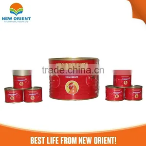 Canned Red Color Tomato Paste thumbnail-4