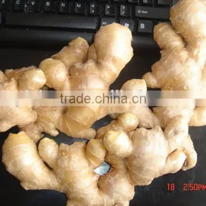 Fresh Ginger thumbnail-4