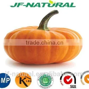 Spray Dried Pumpkin Powder thumbnail-1