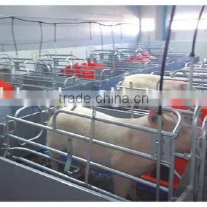 2017 Sow Pig Farrowing Crate for Sale thumbnail-2