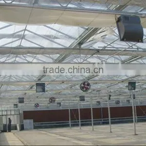Agricultural Greenhouses With Inside Shading Screen thumbnail-1