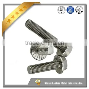 Flange Head Hex Bolts With Hex Nuts,washer thumbnail-1