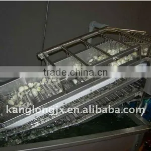 Fruit Washing Machine thumbnail-1
