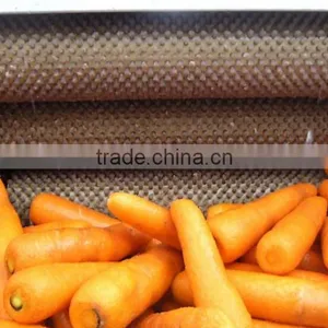 Carrot Washing Peeling Prodcution Line Processing Line thumbnail-3