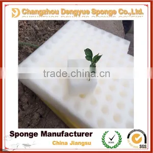 Family Farm Organic Cultivation Eco-friendly Moisture Retain Healthy Planting Foam thumbnail-4
