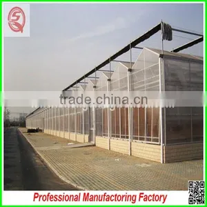 Large Muti-span Hydroponical Polycarbonate Sheet Greenhouses From China Manufacturer thumbnail-3