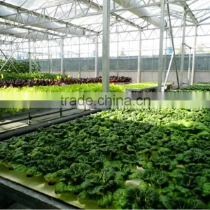 Hydroponics Growing Equipment for Sale thumbnail-1
