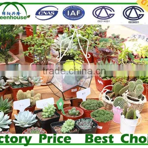 Restaurant Glass Greenhouse thumbnail-6