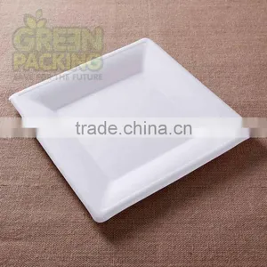 8 Inch Square Sugarcane Microwaveable Biodegradable Plate thumbnail-1