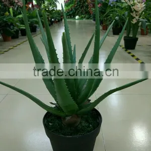 SJ30048946 Plastic Asparagus Plant/ Artificial Cactus Plant for Landscaping thumbnail-3