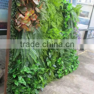Plastic Green Wall for Living Room Decoration,mini Green Wall Interior Decoration thumbnail-6