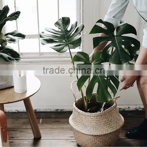 Indoor Plants Basket/Seagrass Storage Basket/Seagrass Belly Basket thumbnail-1